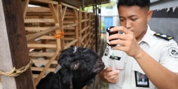 WhatsApp Image 2026 02 24 at 11.02.55