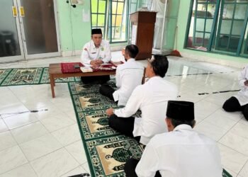 WhatsApp Image 2026 02 24 at 12.45.00 2