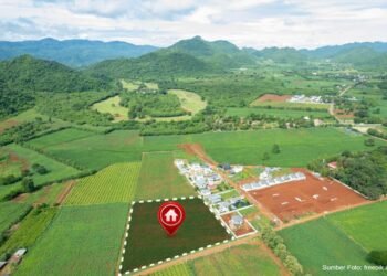 MAPPI Diapresiasi Wamen ATR/Waka BPN atas Kontribusi dalam Sistem Penilaian Nasional 53 WhatsApp Image 2026 02 24 at 13.37.50