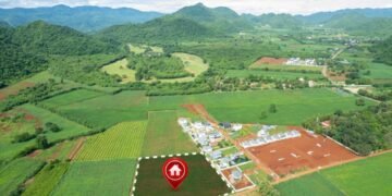 WhatsApp Image 2026 02 24 at 13.37.50