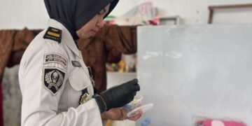 WhatsApp Image 2026 02 25 at 12.24.52