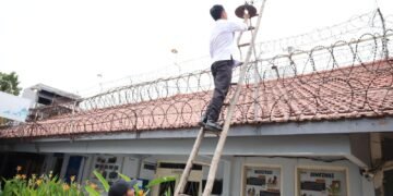 WhatsApp Image 2026 02 25 at 12.29.14