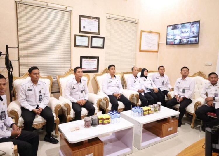 WhatsApp Image 2026 02 26 at 11.40.11 e1772094985802