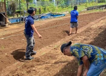 WhatsApp Image 2026 02 27 at 13.21.10