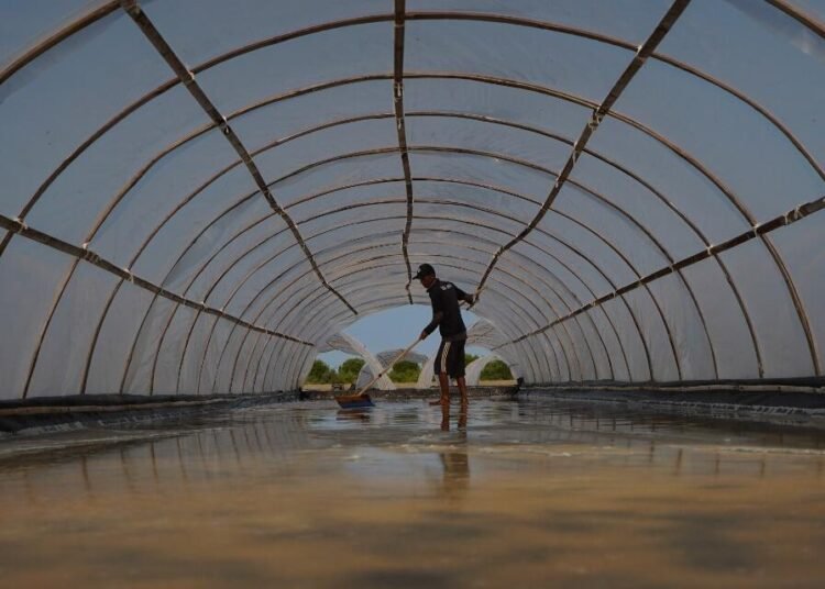 KKP Fasilitasi Tambak Garam Rakyat Teknologi Tunnel - SWRO Hadapi Tantangan Cuaca