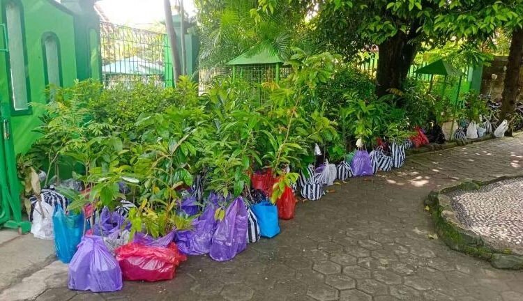 laila 2026 3 69843b1aed641574110540d3