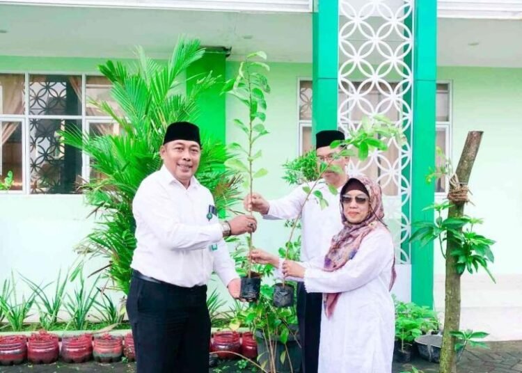 whatsapp image 2026 02 05 at 11 14 10 6985584a34777c30e40ef7d3