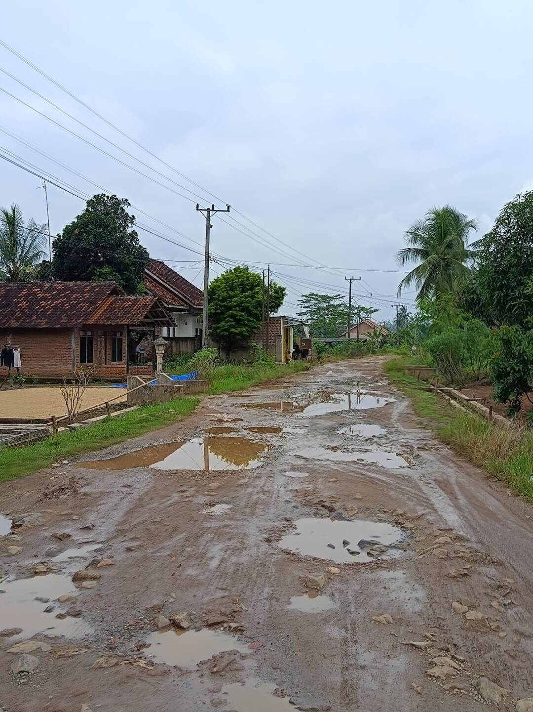 Di Balik Anggaran Miliaran, Jalan Gedung Ratu–Karanganyar Tetap Terabaikan 47 Kondisi Jalan Di Kecamatan Anak Ratu Aji Lampung Tengah