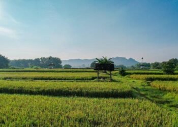 Kementerian ATR/BPN Pastikan Tata Ruang Menjadi Kunci Utama untuk Mendukung Program Prioritas Presiden Prabowo