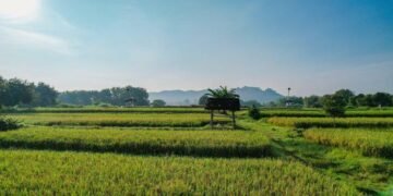 Kementerian ATR/BPN Pastikan Tata Ruang Menjadi Kunci Utama untuk Mendukung Program Prioritas Presiden Prabowo