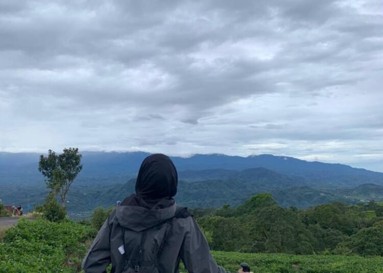 IMG 20260305 WA00021