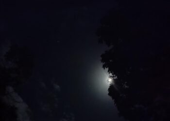 IMG 20260312 WA0004 2