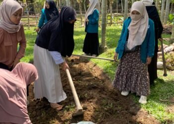 Mahasiswa KPM UIN SUNA Manfaatkan Sedikit Lahan Di Desa Kuala Kereutou untuk Penanaman Apotek Hidup 46 Apotek Hidup