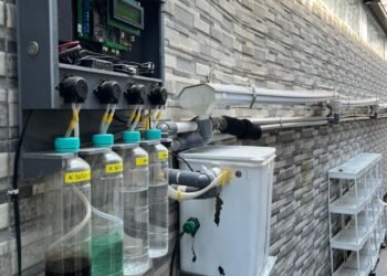 IMG 20260313 WA0004 1