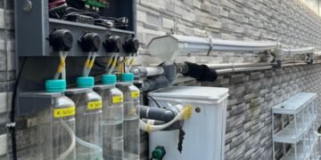 IMG 20260313 WA0004 1