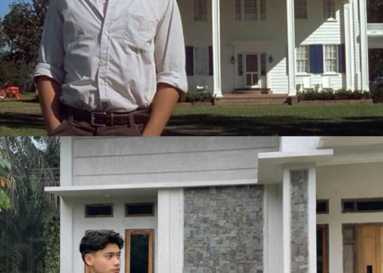 IMG 20260317 WA00131