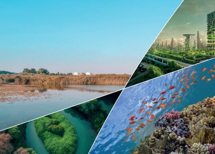 Nature based solutions Indonesia