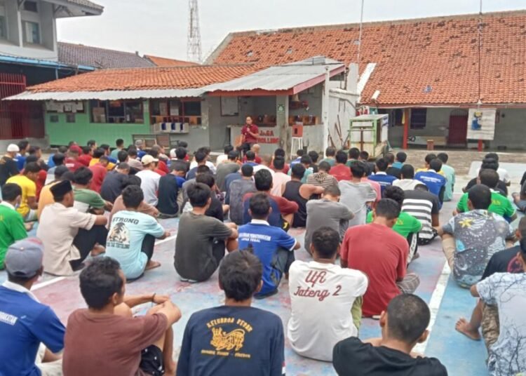 WhatsApp Image 2025 03 30 at 17.55.32 1