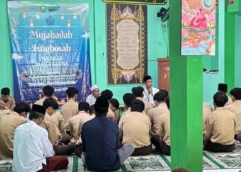 WhatsApp Image 2026 02 27 at 11.17.21 1