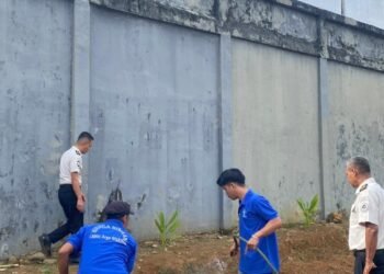 WhatsApp Image 2026 03 03 at 09.54.10 1