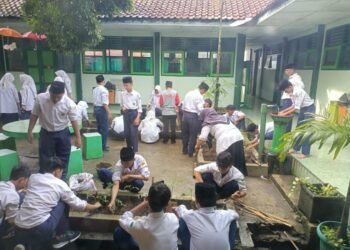 WhatsApp Image 2026 03 03 at 10.56.11