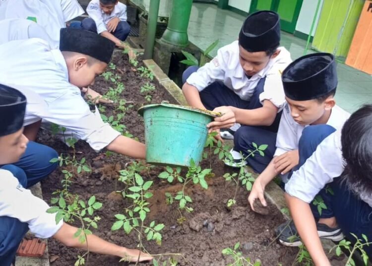 Penguatan Kepedulian Lingkungan melalui Kegiatan Kokurikuler di MTsN 6 Bantul 46 WhatsApp Image 2026 03 03 at 12.32.58