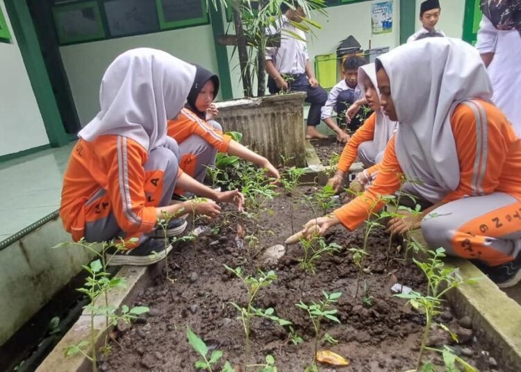 Siswa VIIIC MTsN 6 Bantul Lakukan Kegiatan Kokurikuler dalam Tahap Pemupukan Tanaman 46 WhatsApp Image 2026 03 03 at 12.37.16