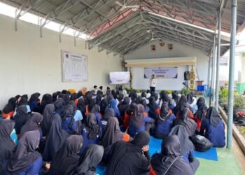 WhatsApp Image 2026 03 03 at 13.33.37