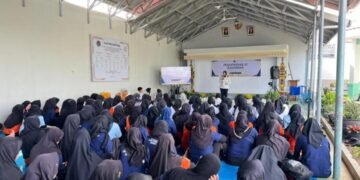 WhatsApp Image 2026 03 03 at 13.33.37