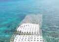 Concrete Reef Unit: Terumbu Karang Buatan dari Beton 50 Peletakkan Concrete Reef Unit di Gili Meno, Lombok (Sumber: Youtube WIKA Beton)
