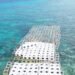 Concrete Reef Unit: Terumbu Karang Buatan dari Beton 55 Peletakkan Concrete Reef Unit di Gili Meno, Lombok (Sumber: Youtube WIKA Beton)