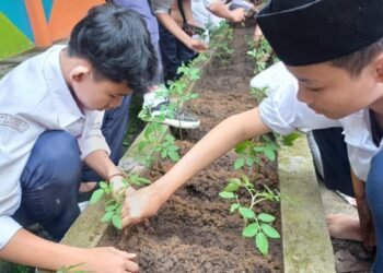 WhatsApp Image 2026 03 04 at 10.26.21