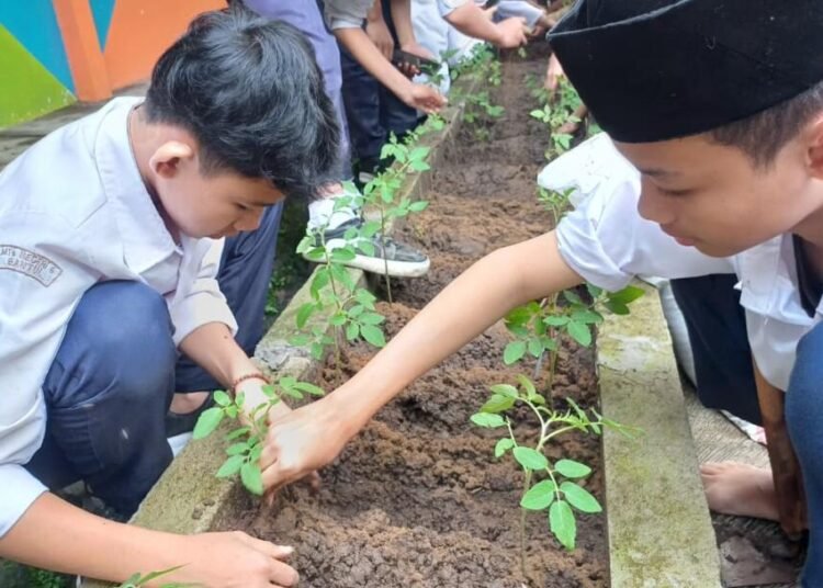 WhatsApp Image 2026 03 04 at 10.26.21