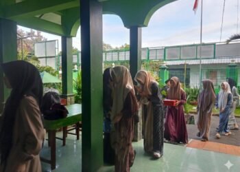 WhatsApp Image 2026 03 04 at 12.46.35