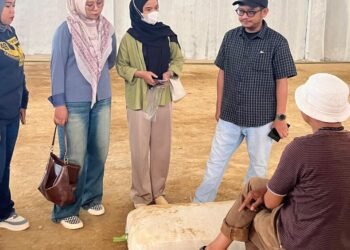 WhatsApp Image 2026 03 04 at 15.32.11 Copy