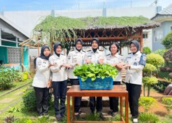 WhatsApp Image 2026 03 05 at 10.36.29 3