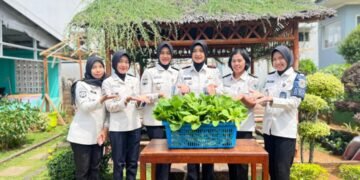 WhatsApp Image 2026 03 05 at 10.36.29 3