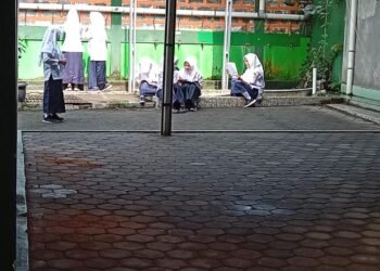 WhatsApp Image 2026 03 05 at 11.25.23