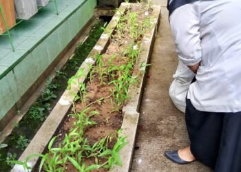 WhatsApp Image 2026 03 05 at 11.28.08