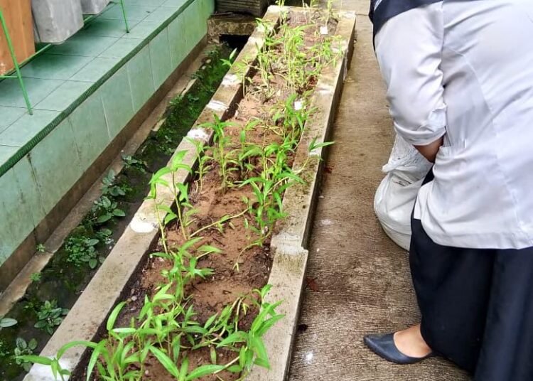 WhatsApp Image 2026 03 05 at 11.28.08