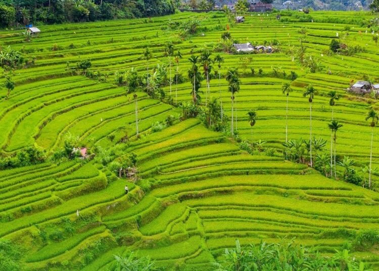 Ditjen Tata Ruang Perkuat Mekanisme Persetujuan Bersama Penetapan LP2B