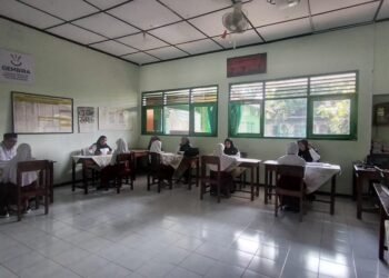 WhatsApp Image 2026 03 09 at 09.10.42