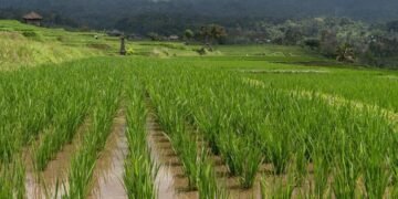 Tingkatkan Kompetensi Aparatur: Webinar Integrasi KP2B dan LP2B dalam Rencana Tata Ruang Digelar