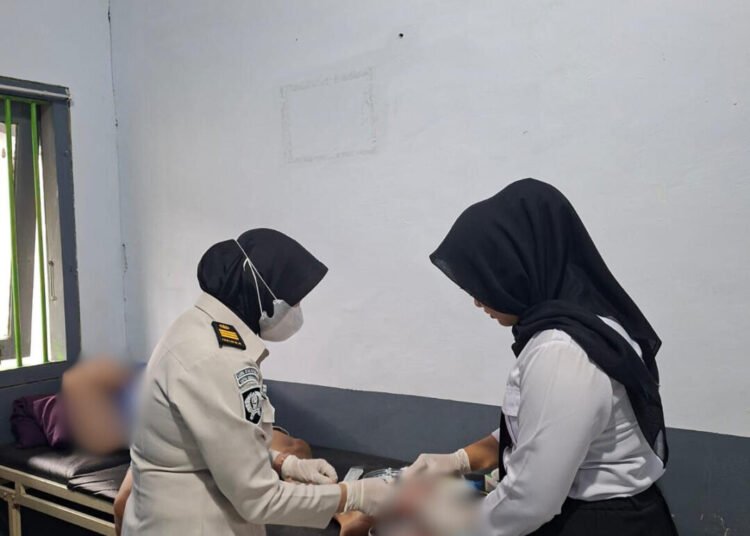 WhatsApp Image 2026 03 09 at 19.22.11