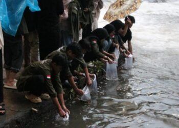 WhatsApp Image 2026 03 11 at 09.21.44