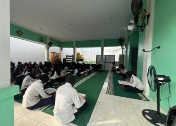 WhatsApp Image 2026 03 11 at 09.25.16