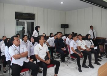 WhatsApp Image 2026 03 11 at 11.58.41 2