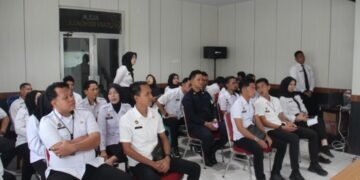 WhatsApp Image 2026 03 11 at 11.58.41 2