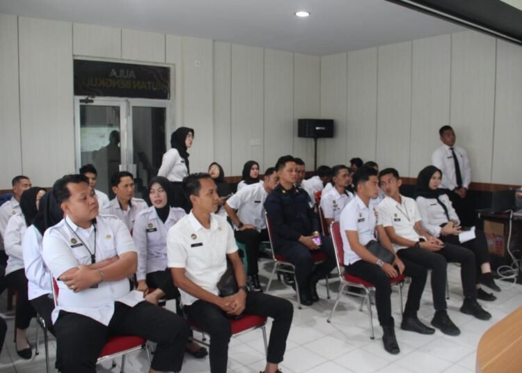 WhatsApp Image 2026 03 11 at 11.58.41 2