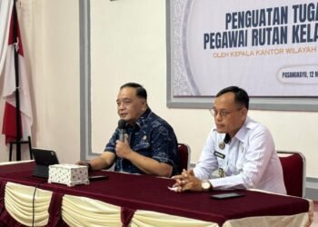 WhatsApp Image 2026 03 12 at 11.09.54 AM